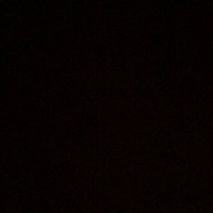 Meet your Posher, Peter